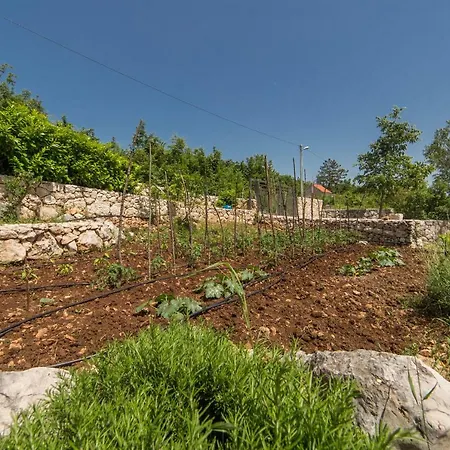 ヴィラ Old Garden Lovreć